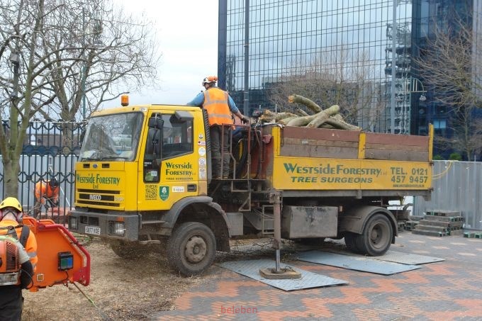 The  remains of the tree were loaded onto a lorry